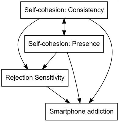 The relationship between self-cohesion and smartphone addiction: the mediating role of rejection sensitivity